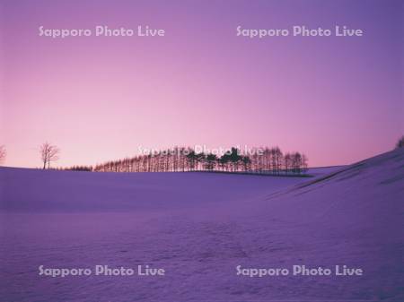 雪原