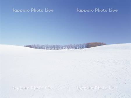 雪原