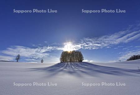 雪原