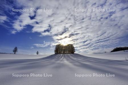 雪原