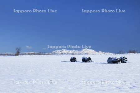 雪原と旭岳