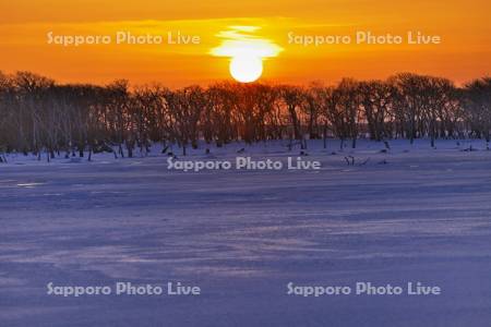 夕陽とナラワラの雪原