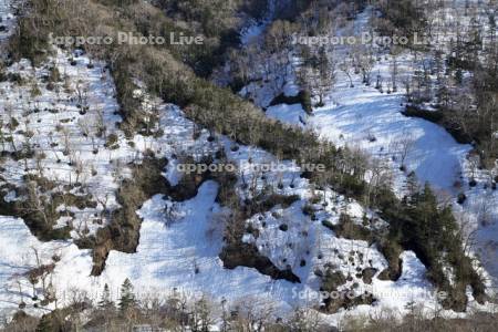 知床峠の根掘り穴群