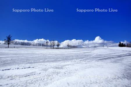 融雪剤散布跡の雪原