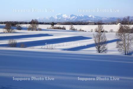水田の雪原と芦別岳