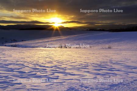 夕陽と染まる風紋の雪原