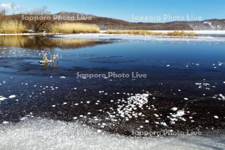 雪の華と塘路湖