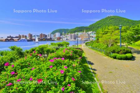 緑の島から函館港夏風景