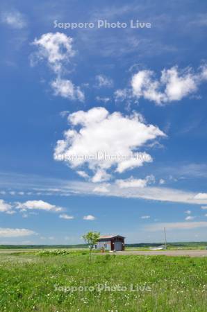 霧多布湿原