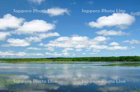 初夏のシラルトロ湖と白い雲