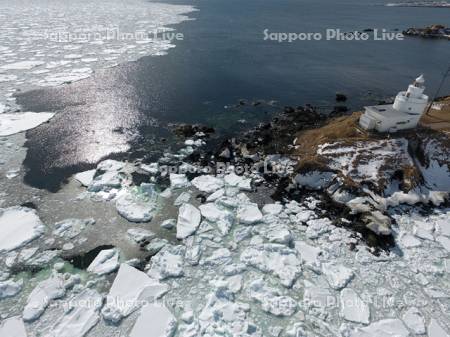 納沙布岬の流氷