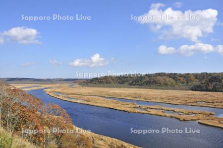 紅葉の別寒辺牛湿原