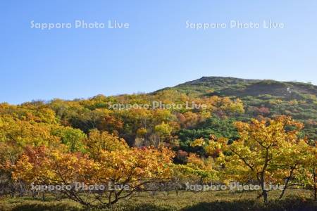 硫黄山の紅葉