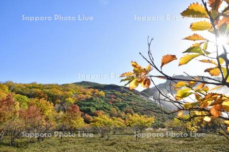 硫黄山の紅葉