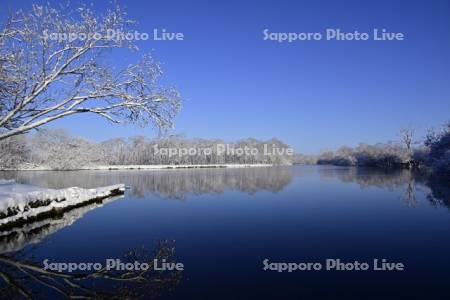 雪の釧路川