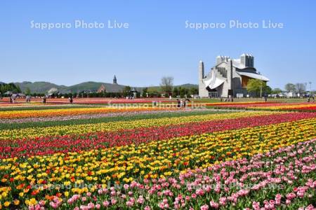 かみゆうべつチューリップ公園