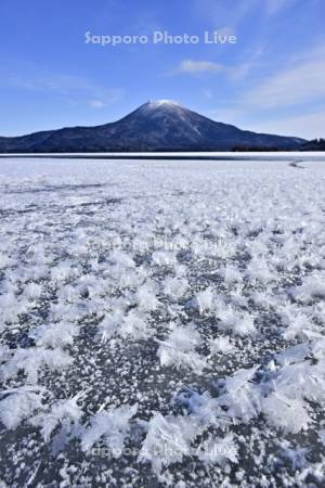 阿寒湖のフロストフラワー