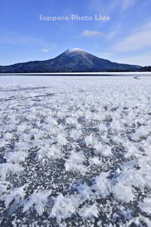 阿寒湖のフロストフラワー