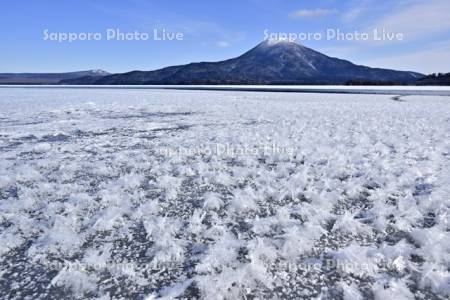 阿寒湖のフロストフラワー