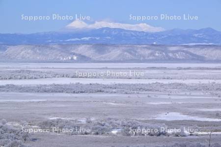 霧氷の釧路湿原と雌阿寒岳