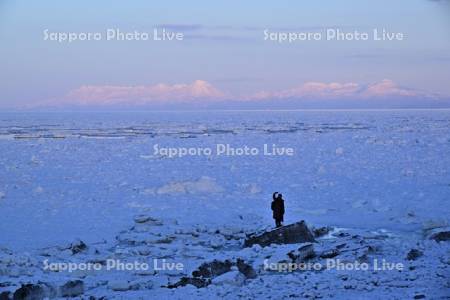 残照の知床連山と流氷