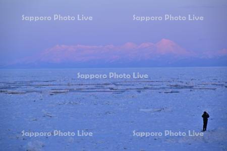 残照の知床連山と流氷