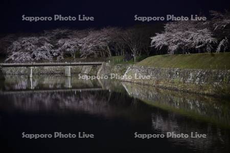 五稜郭公園裏門橋の夜桜と月