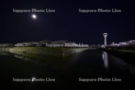 五稜郭タワーの夜桜と月