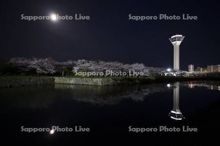 五稜郭タワーの夜桜と月