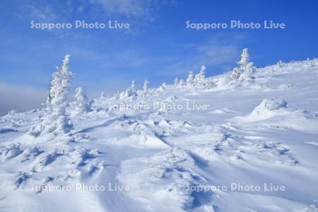藻琴山の樹氷