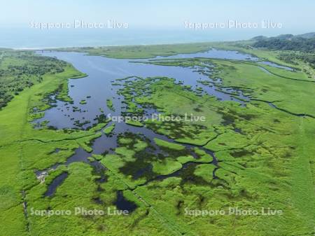 夏のパシクル沼空撮