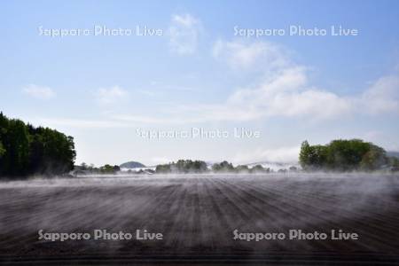 朝霧の畑と屈斜路湖