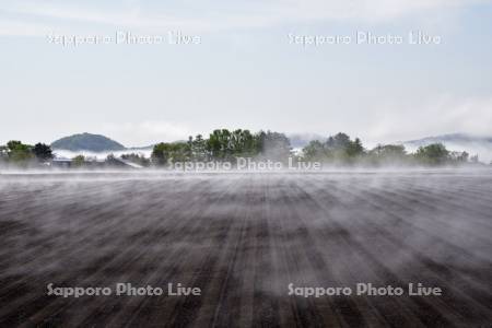 朝霧の畑と屈斜路湖