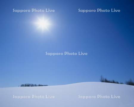 雪原