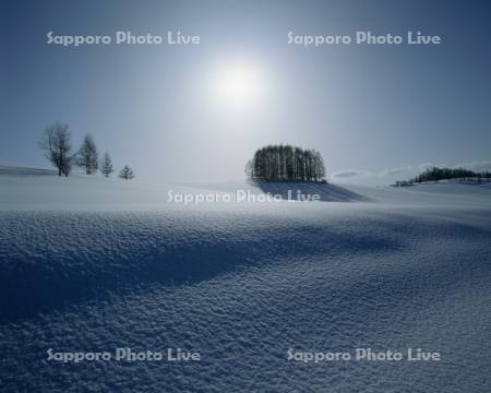 雪原