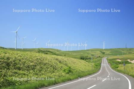 風力発電　　