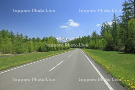 一本道と十勝岳連峰