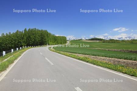 道路