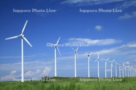 風力発電
