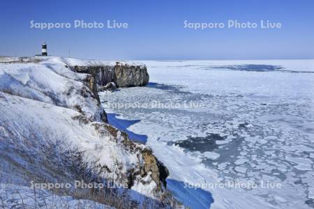 能取岬の灯台と流氷