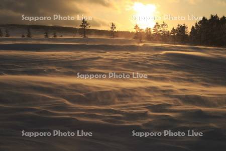 美幌峠の地吹雪