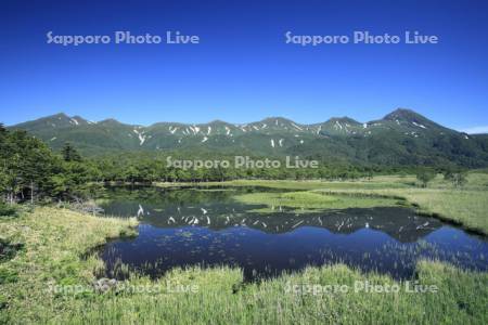 知床五湖の第一湖と知床連峰