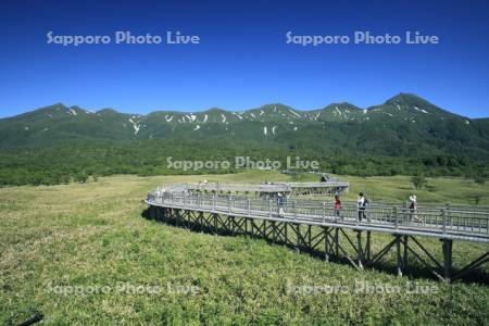 知床五湖高架橋木道と知床連峰