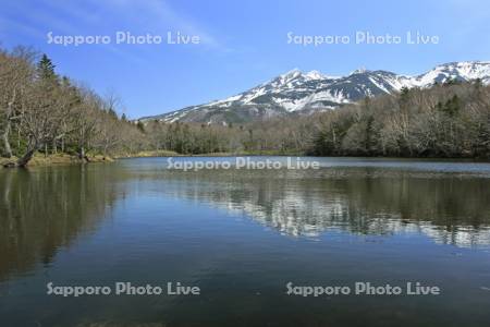 知床五湖の第四湖と知床連峰