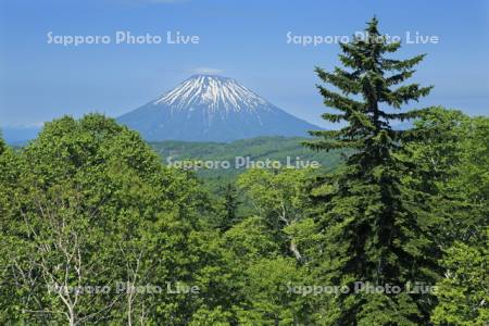 中山峠から羊蹄山