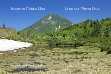 二の沼と羅臼岳