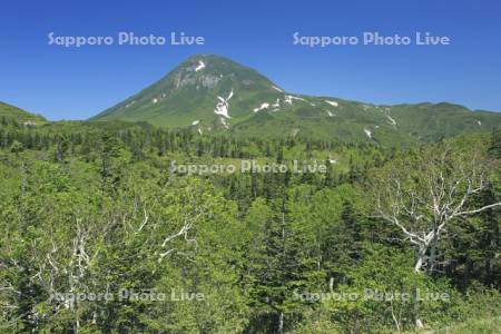 知床峠から羅臼岳