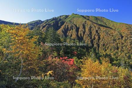 大雪山の十勝岳温泉の紅葉と富良野岳