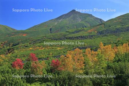 大雪山の望岳台の紅葉と美瑛岳