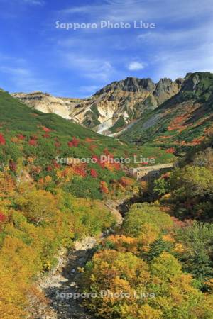 大雪山の十勝岳温泉の紅葉と上ホロカメットク山